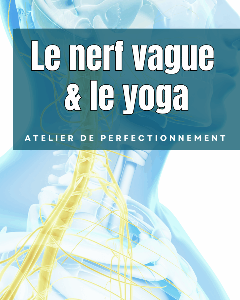 atelier-de-yoga-et-nerf-vague-espace-ananda-massy