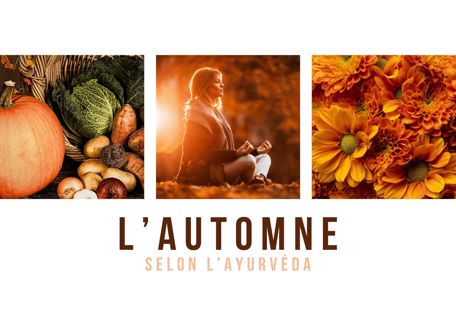 L'automne en ayurvéda - Espace Ananda - Massy