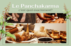 presentation-article-panchakarma-espace-ananda-massy-3