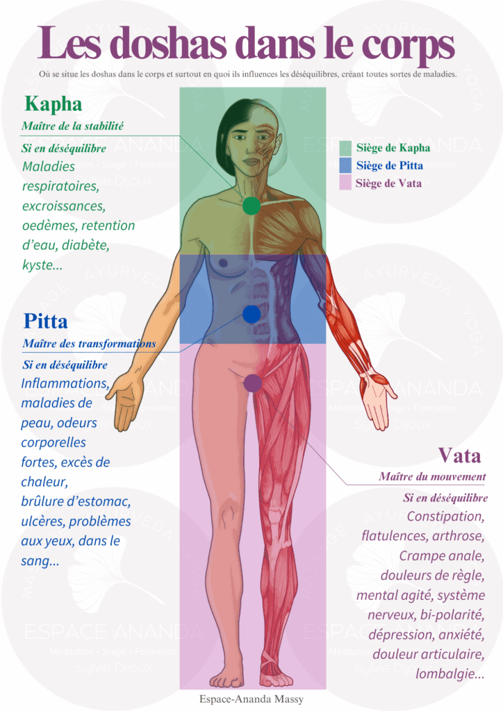 doshas-et-maladies-courantes-dans-le-corps-espace-ananda-massy-2