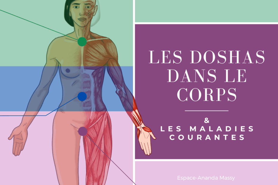 les-doshas-dans-le-corps-et-les-maladies-courantes-espace-ananda-massy-2-1