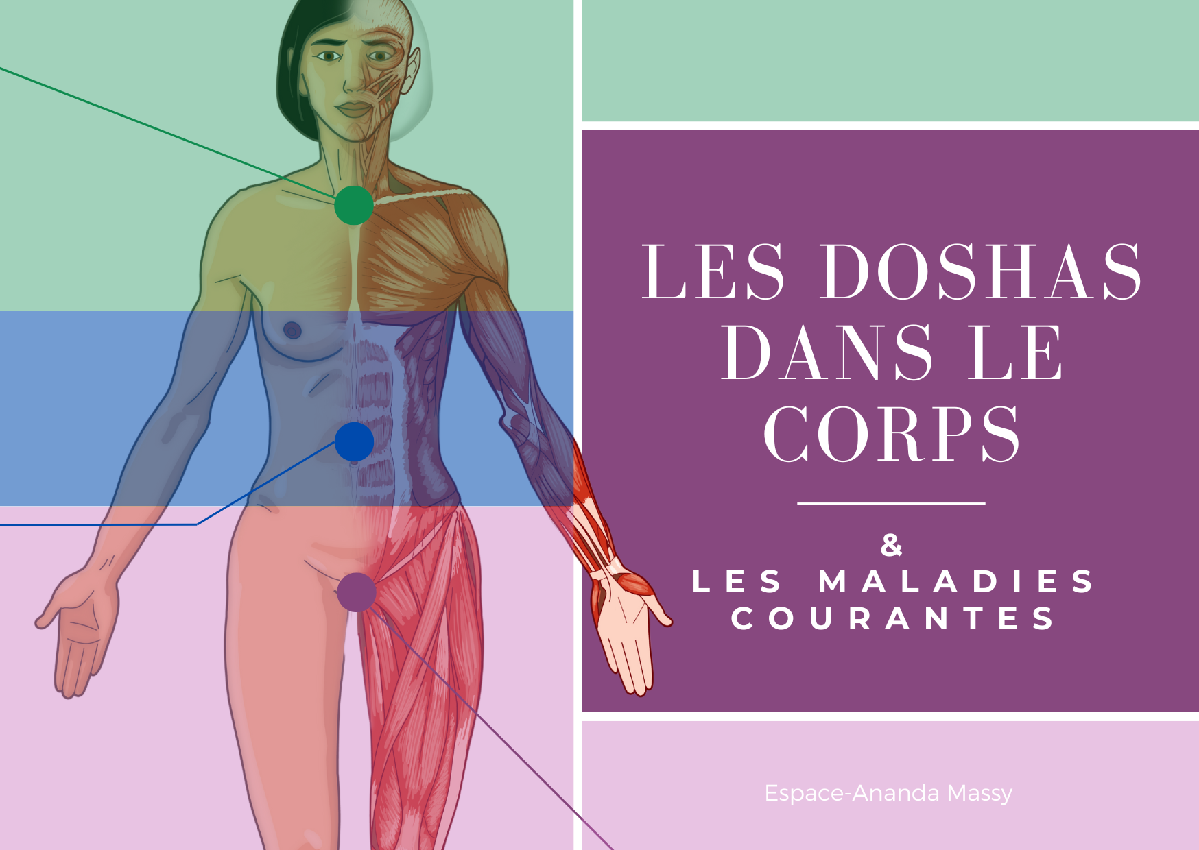 les-doshas-dans-le-corps-et-les-maladies-courantes-espace-ananda-massy-2-1