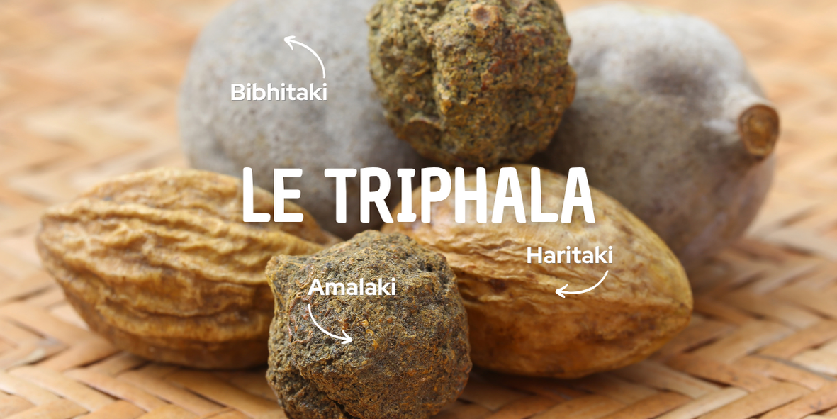 image-triphala-dinacharya-espace-ananda-massy