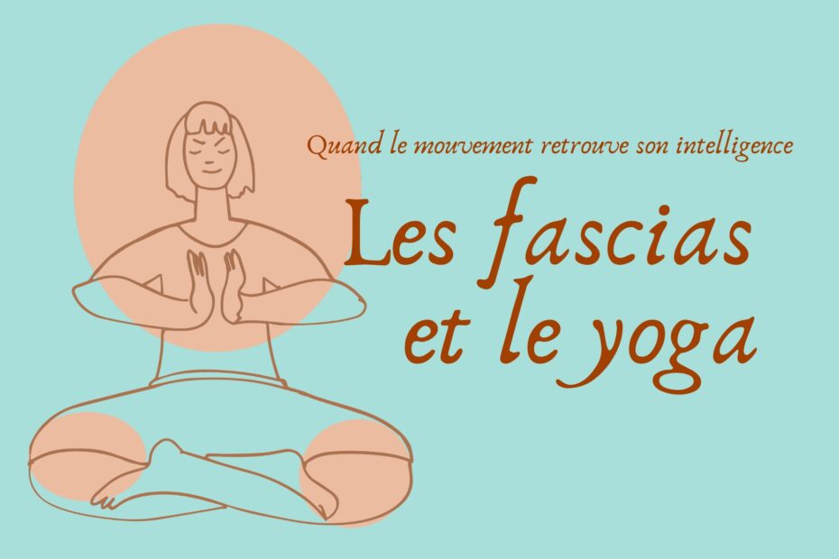article-fascia-et-yoga-espace-ananda-massy